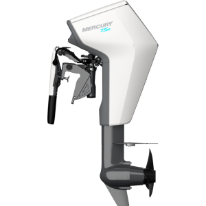Moteur électrique Mercury Avator 7.5