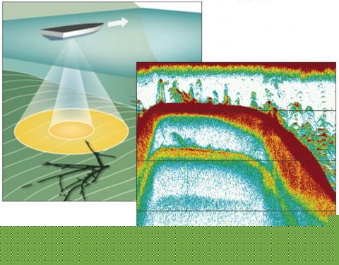 Sonde DualBeam+ Humminbird