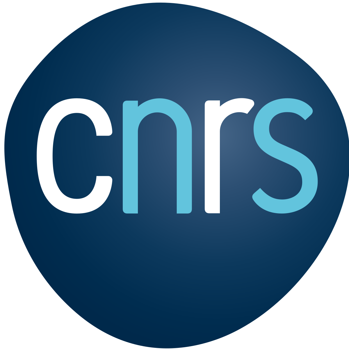 CNRS CNRS